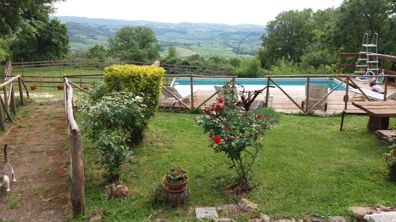 Agriturismo Castellum Aquarum Manciano Εξωτερικό φωτογραφία