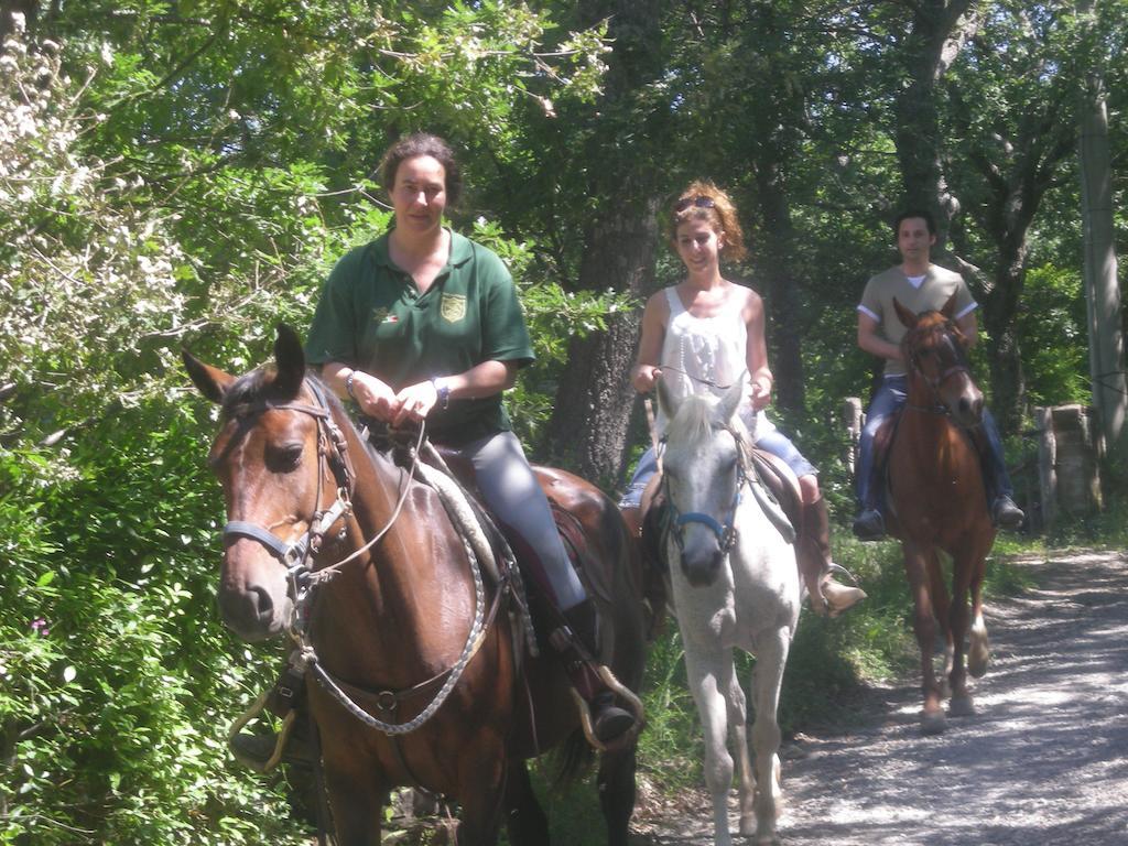 Agriturismo Castellum Aquarum Manciano Εξωτερικό φωτογραφία