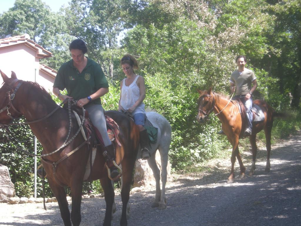 Agriturismo Castellum Aquarum Manciano Εξωτερικό φωτογραφία